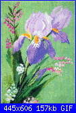 Iris*( Vedi FIORI ) - schemi e link-iris-gif