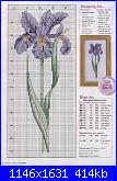 Iris*( Vedi FIORI ) - schemi e link-art-irise-115-jpg