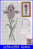 Iris*( Vedi FIORI ) - schemi e link-art-irise-115-jpg