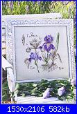 Iris*( Vedi FIORI ) - schemi e link-dfea-28-033-jpg