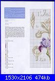 Iris*( Vedi FIORI ) - schemi e link-dfea-28-034-jpg