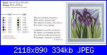 Iris*( Vedi FIORI ) - schemi e link-iris-jpg