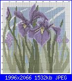 Iris*( Vedi FIORI ) - schemi e link-iris-1-jpg