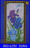 Iris*( Vedi FIORI ) - schemi e link-c-jpg