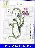 Iris*( Vedi FIORI ) - schemi e link-l-jpg
