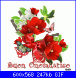 si ricorda s. veronica-myphoto1-gif