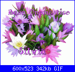 si ricorda s. silvia-myphoto-2-gif