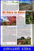 Di fiore in fiore-senza-tit-jpg