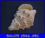 Aiuto Schema Mare-2-jpg