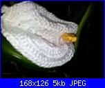 composizioni rita rita-1613798_523275514448323_1388893739_n-jpg