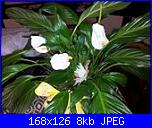 composizioni rita rita-1656135_523275574448317_1642426151_n-jpg