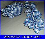 *I Lavori all'Uncinetto di Clio*-dsc06278-jpg