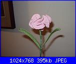 Fiori uncinetto e... tanto altro!!-dsc00321-jpg