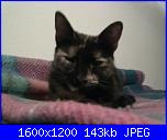 Rivista: Diana Uncinetto facile 100 modelli per il Natale-immagine-001-jpg