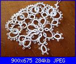 rosellina chiacchierino cercasi-sam_0058-jpg