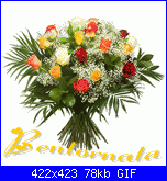 Notizie di Fiorella?-bentornata-1-gif