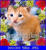 Buon Compleanno Skiki85!-sampa283adf3e81a4e01up9-jpg