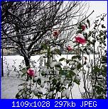 Giornata speciale a Ferrara-2009-12-17-001-jpg