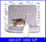 eccomi!-micio-semiaddormentato-you%5Cre-welcome-gif