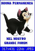 Ciao a tutte!-gattino-figaro-jpg