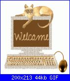 salve a tutte e complimenti-708718jtpif35jly-gif