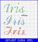 Richiesta  per nome* Iris* (30x60) per bavaglino.....-iris1-jpg