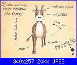 Il Dahu, animale mitologico-dahu-plan2-jpg