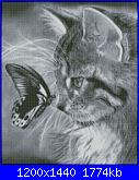 gatto con farfalla-gatto-con-la-farfalla-jpg