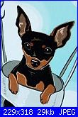 Richiesta schema cane pinscher-pinscher9-jpg