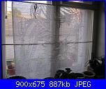 Tende a filet-77150210_large_img_1173-jpg