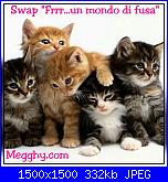 Swap: "Frrr...un mondo di fusa"-swap-jpg