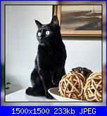 Swap: "Frrr...un mondo di fusa"-zara-jpg