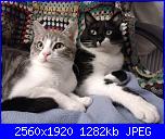 Swap: "Frrr...un mondo di fusa"-20161210_191340-jpg