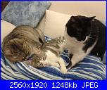 Swap: "Frrr...un mondo di fusa"-20161211_225314-jpg