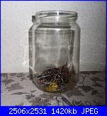 Sal dei filini spazzatura 2016-sam_3999-jpg