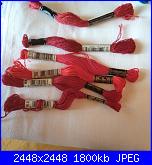 Sal Work In Progress - Blackwork.-img_20190701_074623-jpg