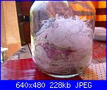 Sal dei filini spazzatura 2021-sal-filini-jpg