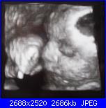 Scusate l'assenza-dscn1508-jpg