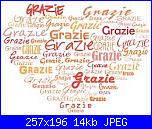 Foto BFC "stela"-images-jpg