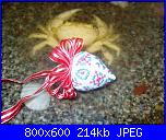 Foto Sal Addobbi Natalizi-ss103531-jpg