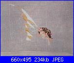 Foto SAL UFO 2012-sam_0919-jpg