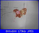 Foto SAL UFO 2013-sam_6280-jpg