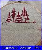 Foto sal 'Benvenuti' Renato Parolin-immagine-jpg