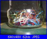 Foto "Sal dei filini spazzatura 2010"-26-feb-2010-jpg