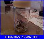 Foto "Sal dei filini spazzatura 2010"-sal-maggio-jpg