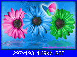 auguri margherita!-fiori_stw-342-gif