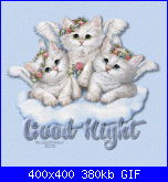 Venerdì 26 Novembre 2010-30-gif