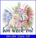 Venerdì 26 Novembre 2010-02-gif