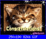 I miei primi 1000 messaggi!!!-congrats_kitty-gif