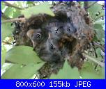 28 maggio-28-maggio-2010-1-jpg